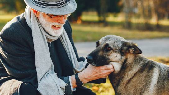 Gli animali da compagnia potranno essere seppelliti insieme ai padroni