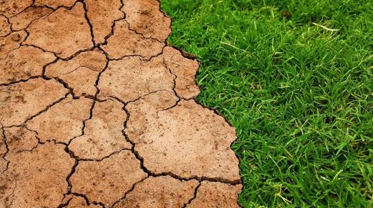 Cambiamento climatico, solo sei mesi per invertire la rotta: lo dice l’IEA